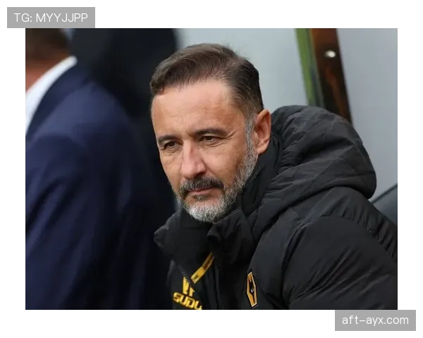 狼队核心球员状态回暖，球队士气提升值得关注迎战下轮对手